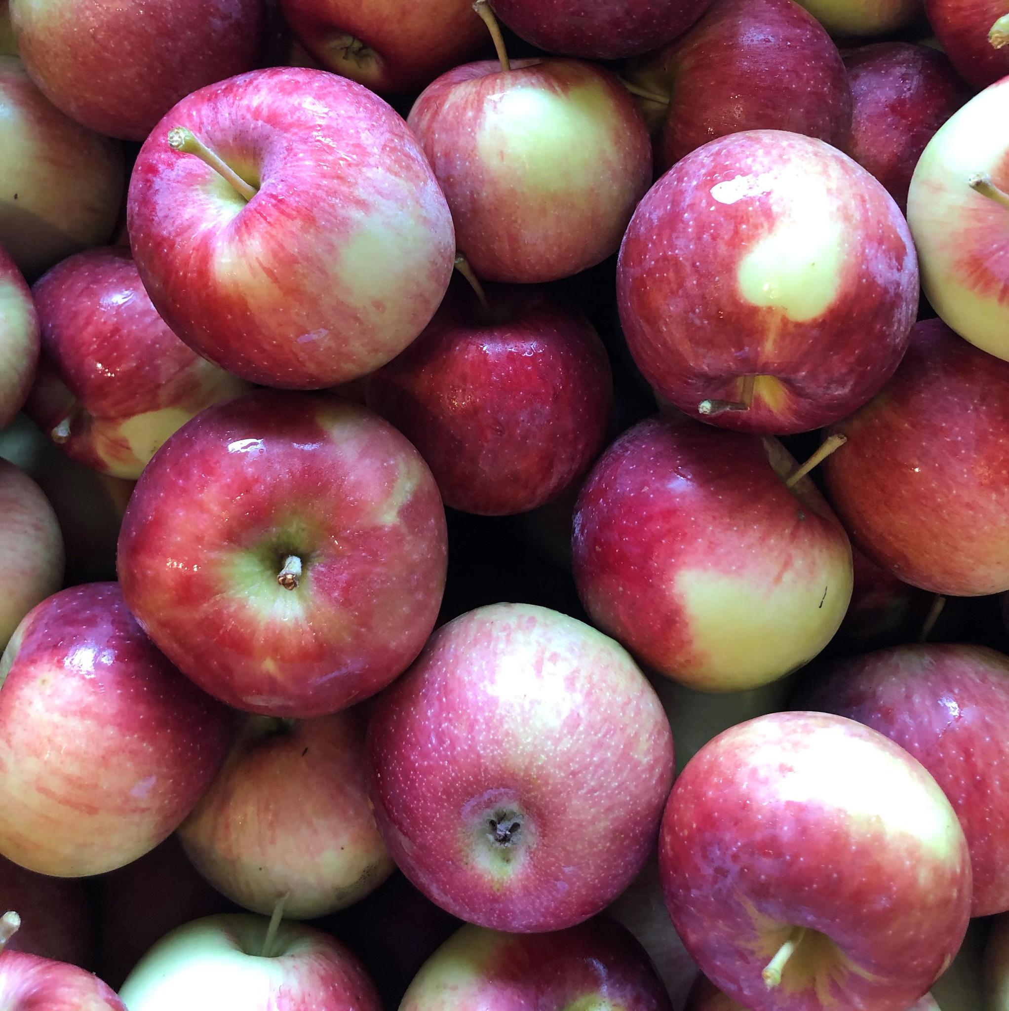 Fresh Apples Macintosh Bag, Apples Bagged